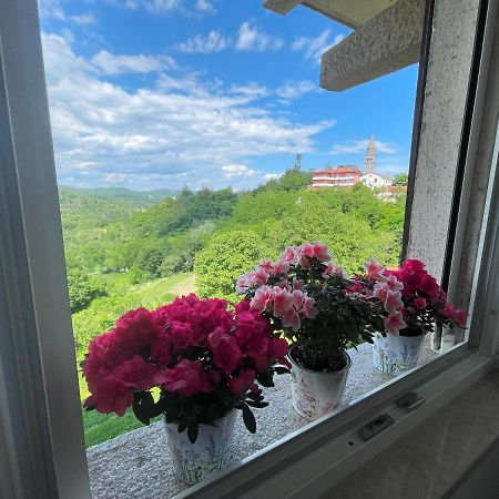 Apartment Kastel 帕津 外观 照片